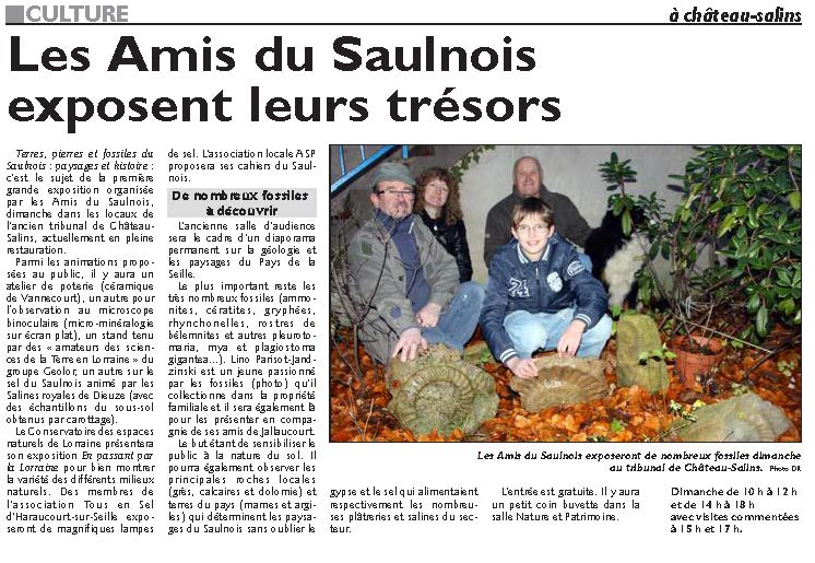 PDF-Edition-Page-11-sur-18-Sarrebourg-du-07-12-2012