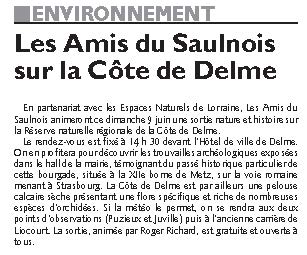 PDF-Edition-Page-12-sur-18-Sarrebourg-du-07-06-2013